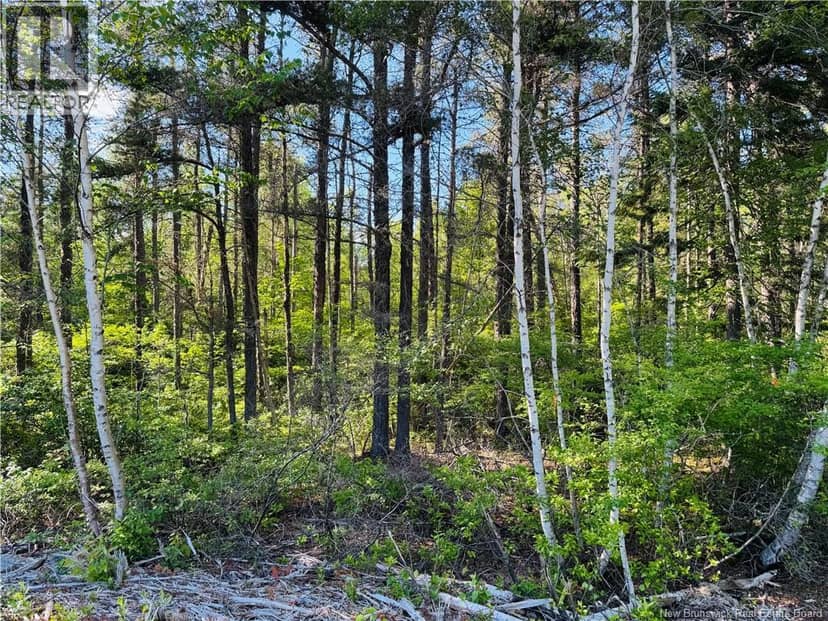 Lot 2026-2 Crystal Drive, Miramichi, photo 5