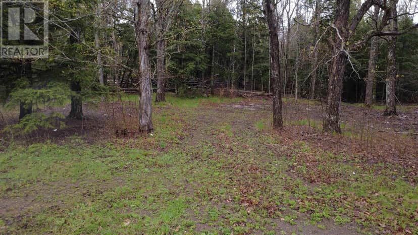 Lot 142 Condon Road — photo 17 of 32