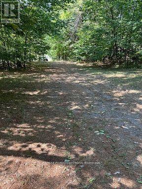 2875 County Road 21 Road — photo 16 of 21