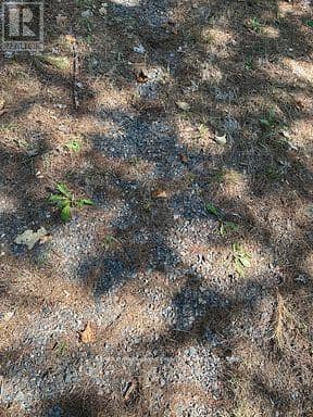 2875 County Road 21 Road — photo 20 of 21