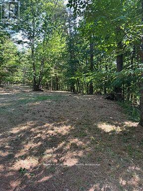 2875 County Road 21 Road — photo 5 of 21