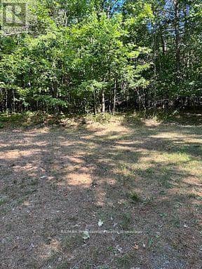 2875 County Road 21 Road — photo 8 of 21