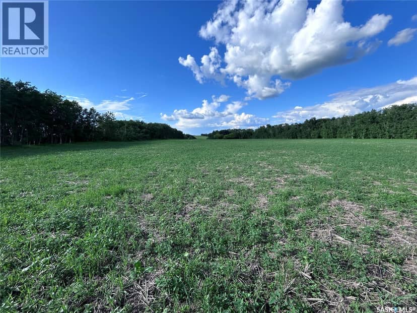 St. Brieux 70 Acre Parcel — photo 10 of 19
