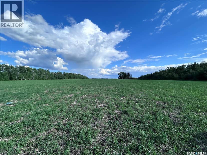 St. Brieux 70 Acre Parcel — photo 12 of 19