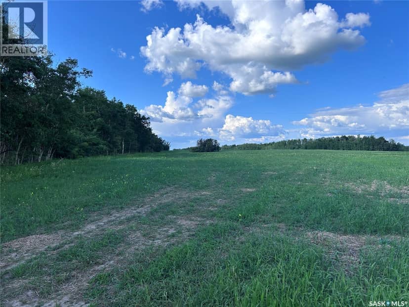 St. Brieux 70 Acre Parcel, Lake Lenore Rm No. 399, photo 6