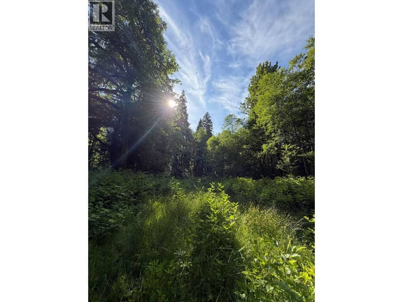 5 UPPER PITT RIVER ROAD, Pitt Meadows, photo 3