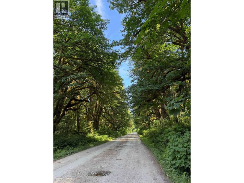 5 UPPER PITT RIVER ROAD, Pitt Meadows, photo 4