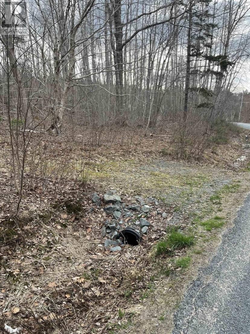 Lot 2 Sarty Road — photo 2 of 2