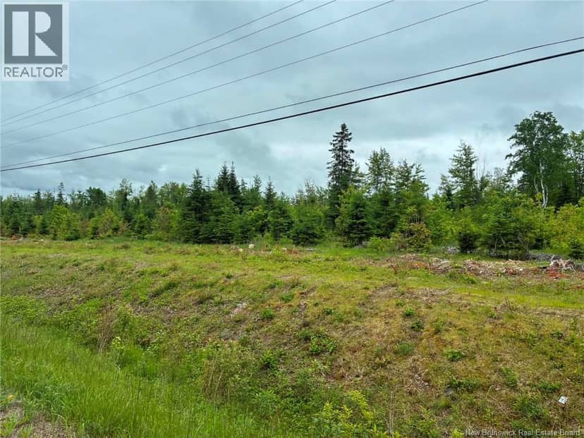 Route 17, Kedgwick, photo 2