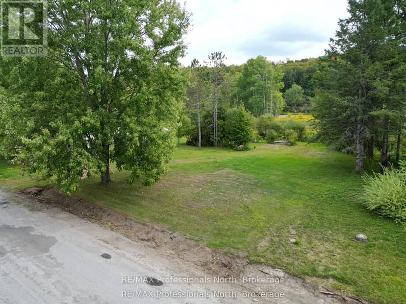 0 Parts Lot 12, Plan 1, Anson Street, Minden Hills, photo 2
