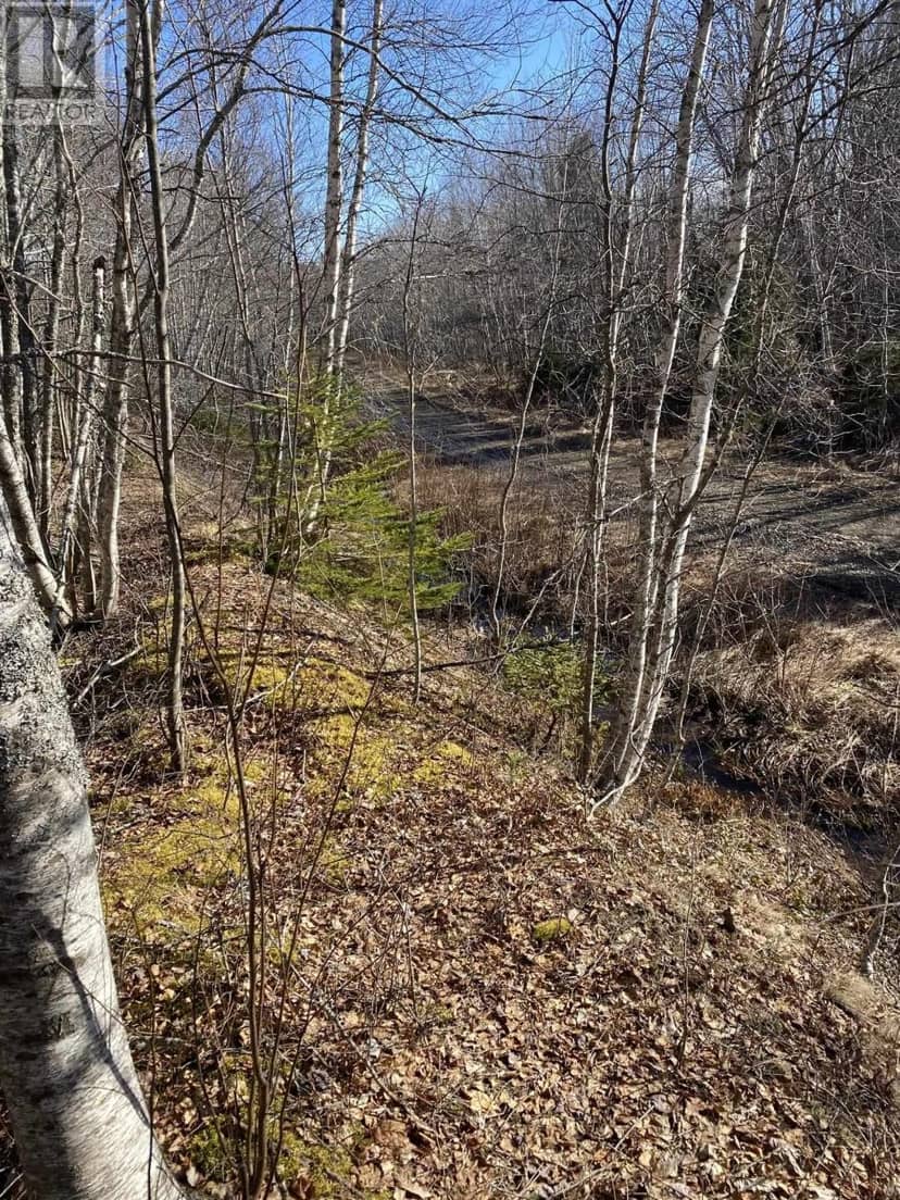 Old Halifax Road — photo 3 of 10