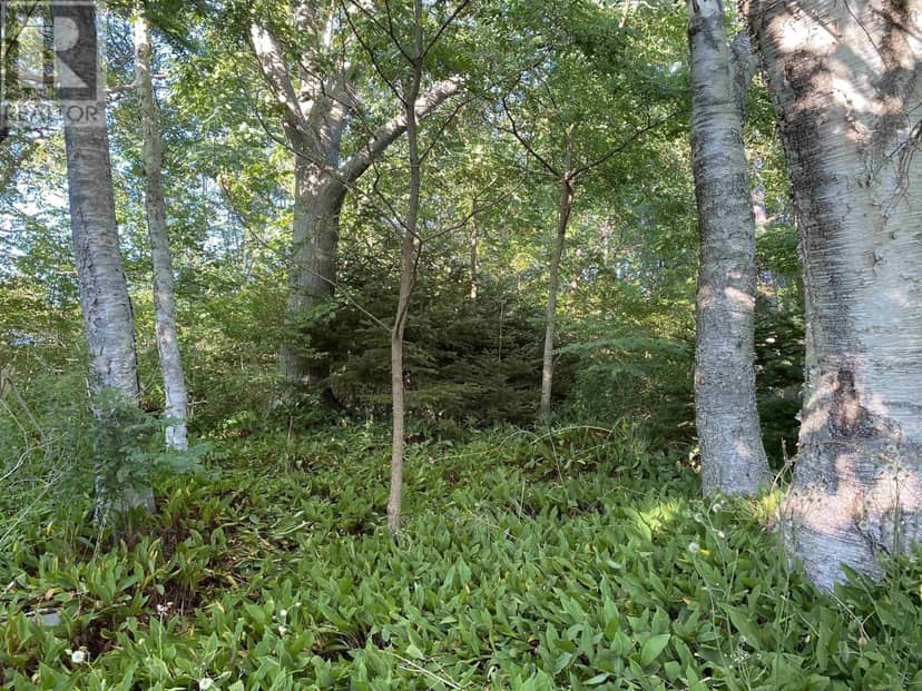 Lot (PID 70088364) Hillside Road, Brooklyn, photo 6