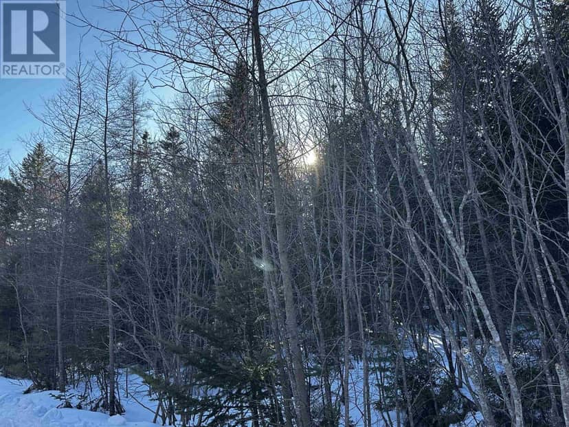 Emerald Drive, Emerald Estates — photo 4 of 20