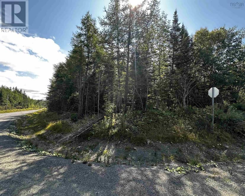 Blaze Road, The Banks of Loch Lomond — photo 5 of 15