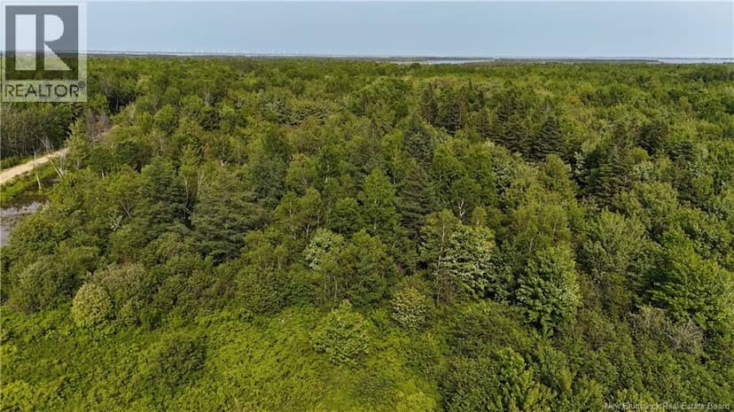 39.27 acres rue Morais — photo 3 of 4