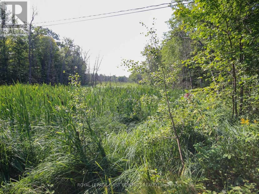 213 Birch Acres Drive — photo 26 of 40
