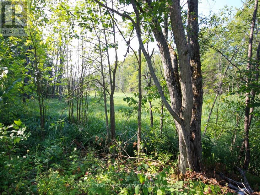 213 Birch Acres Drive — photo 27 of 40