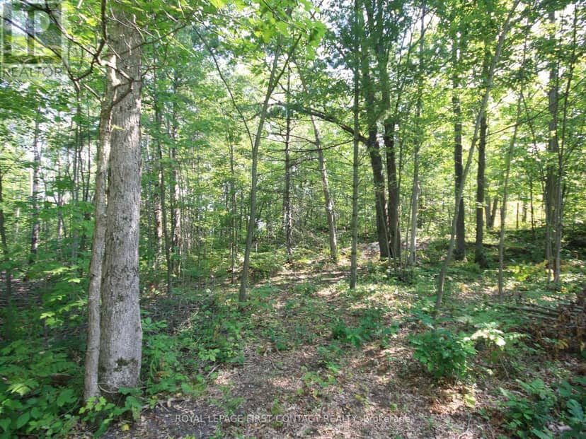 213 Birch Acres Drive — photo 35 of 40