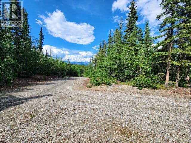 Lot 28 TINTINA SUBDIVISION — photo 30 of 38