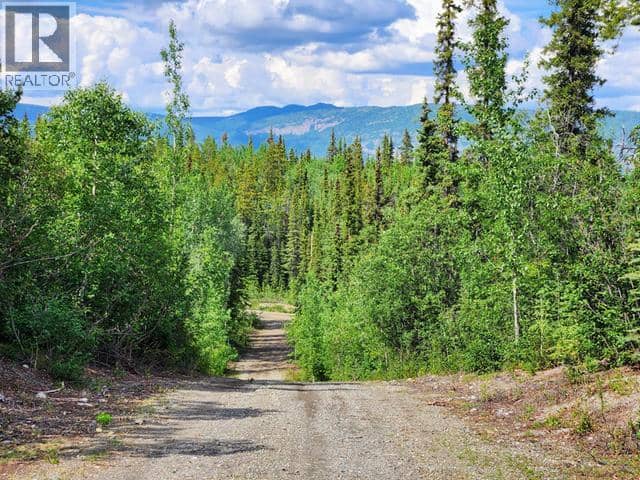Lot 28 TINTINA SUBDIVISION — photo 31 of 38
