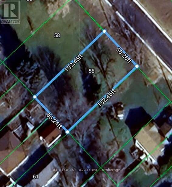 56 Albert Avenue — photo 1 of 2