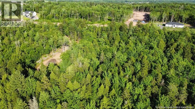 Lot 21-44 Orchard Avenue, Irishtown, photo 7