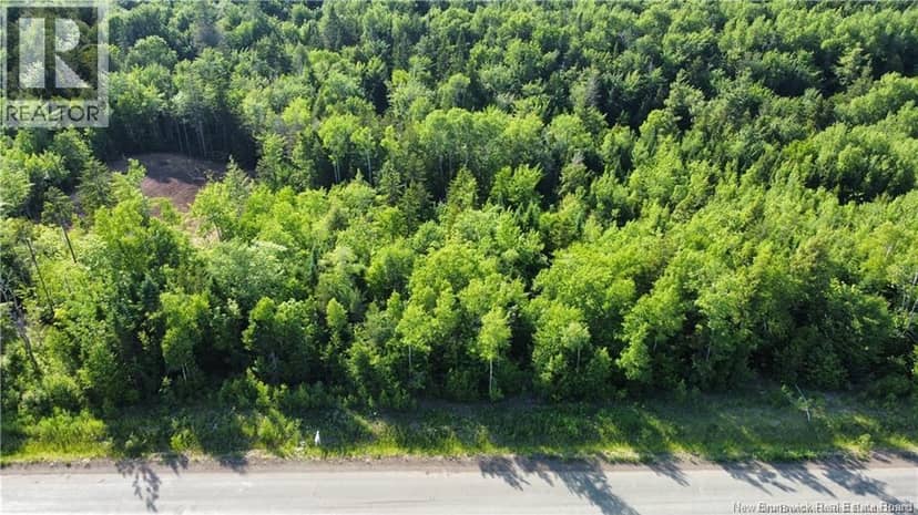 Lot 21-39 Orchard Avenue, Irishtown