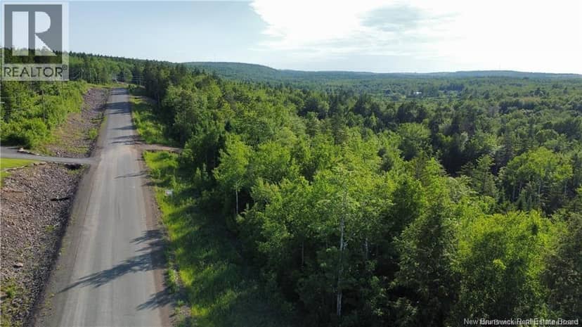Lot 21-39 Orchard Avenue, Irishtown, photo 2