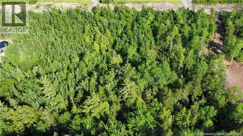 Lot 21-39 Orchard Avenue, Irishtown, photo 5