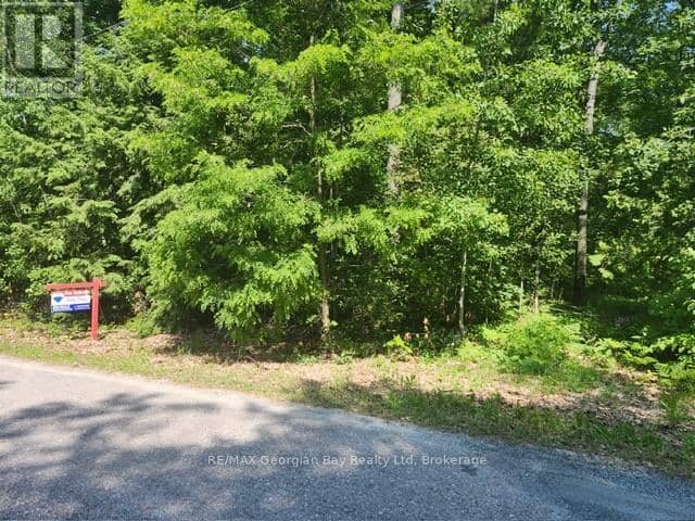 46 Oakwood Avenue N — photo 1 of 11