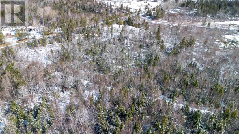 Lot Highway 4 Road — photo 10 of 15