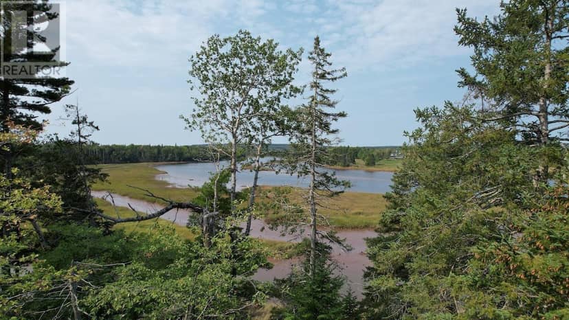 24-4 Highway 321 Highway — photo 18 of 18