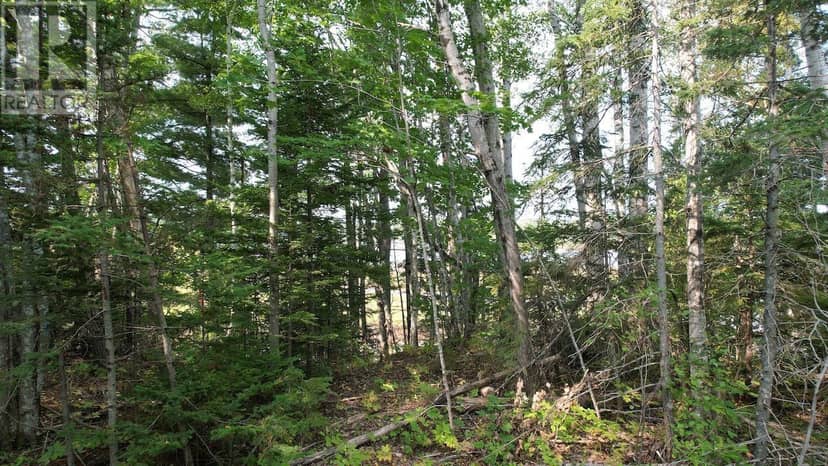 24-1 Highway 321 Highway — photo 15 of 18