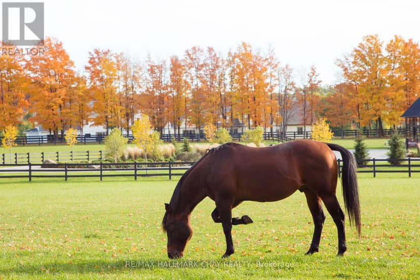 Lt 221 Friesian Court — photo 15 of 21