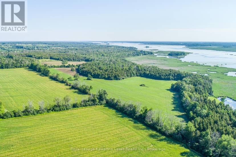 36 Spen Haven Road, Kawartha Lakes, photo 4