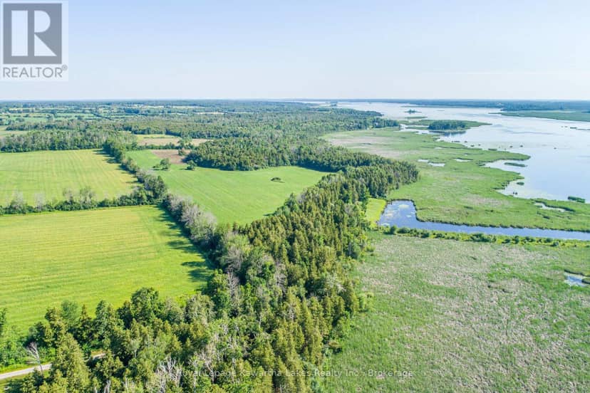 36 Spen Haven Road, Kawartha Lakes, photo 3