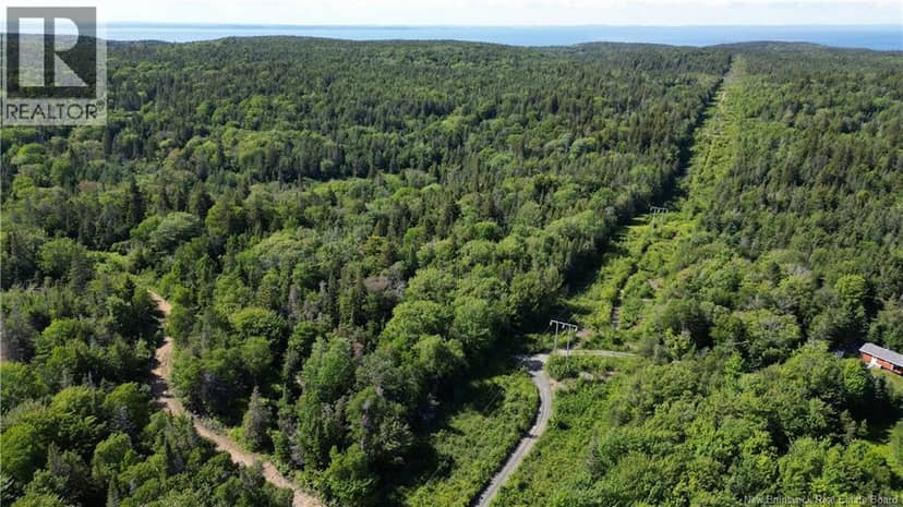 Land Stanley Brook, Grand Manan, photo 8