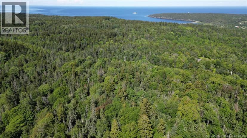 Land Stanley Brook, Grand Manan, photo 3