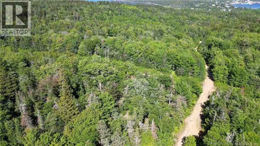 Land Stanley Brook — photo 12 of 13