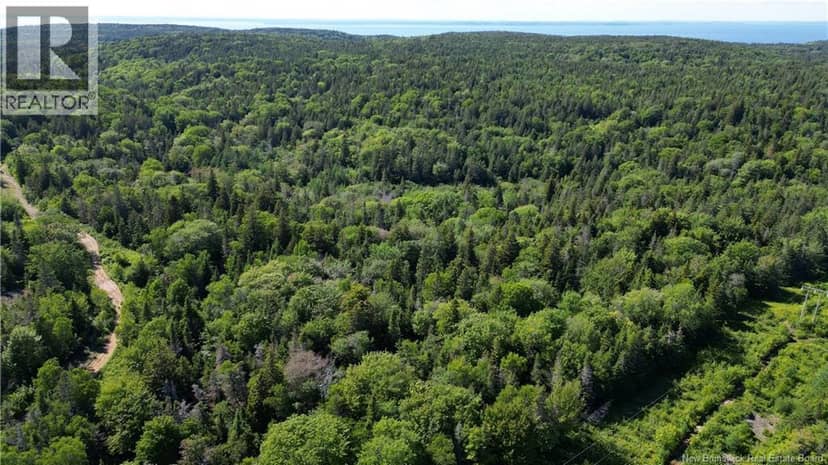 Land Stanley Brook, Grand Manan, photo 7