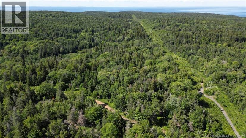 Land Stanley Brook — photo 11 of 13