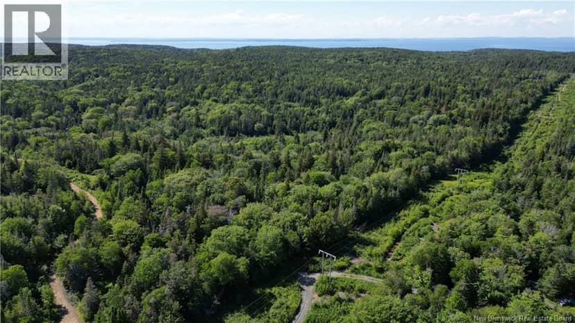 Land Stanley Brook, Grand Manan, photo 5