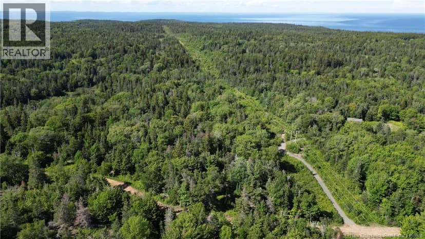 Land Stanley Brook — photo 9 of 13