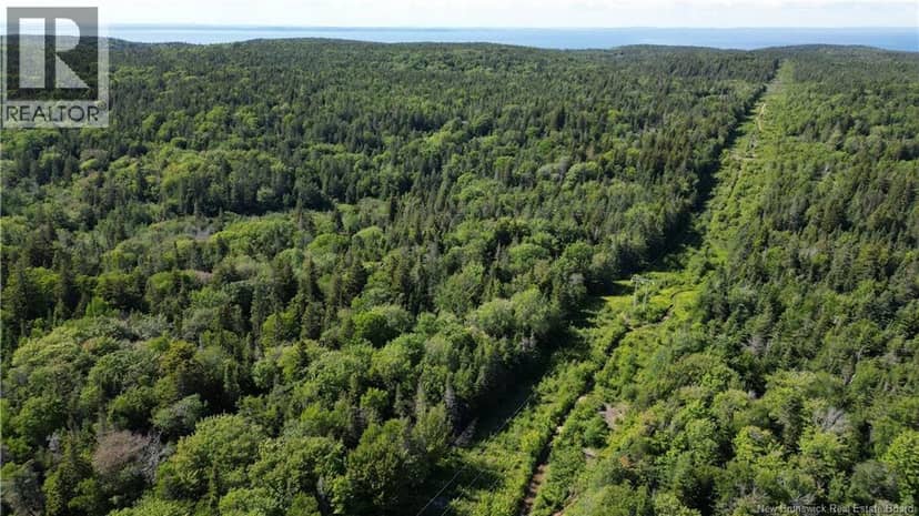Land Stanley Brook, Grand Manan, photo 6