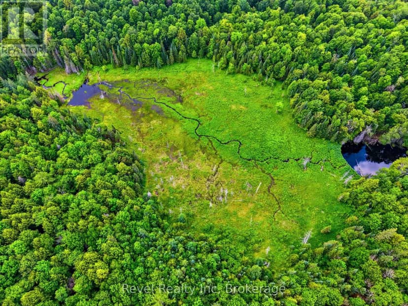 Lot 1 Bird Lake Road, Bracebridge, photo 6