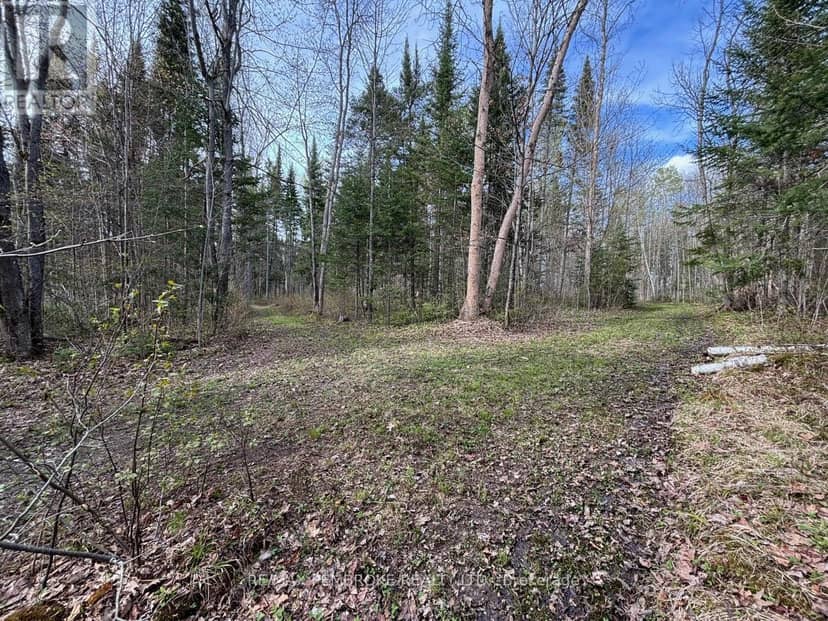 3068 McLaughlin Road, Whitewater Region, photo 8