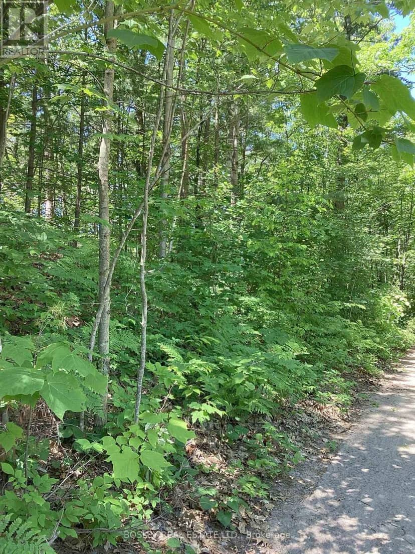 Lot 402 Desroches Trail — photo 2 of 11