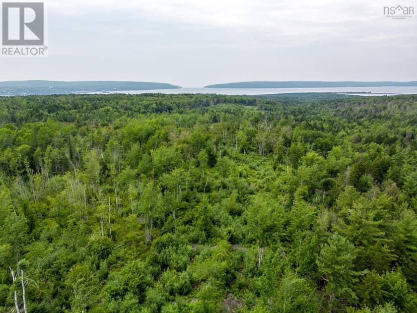 Lot 3 Back Road — photo 7 of 12