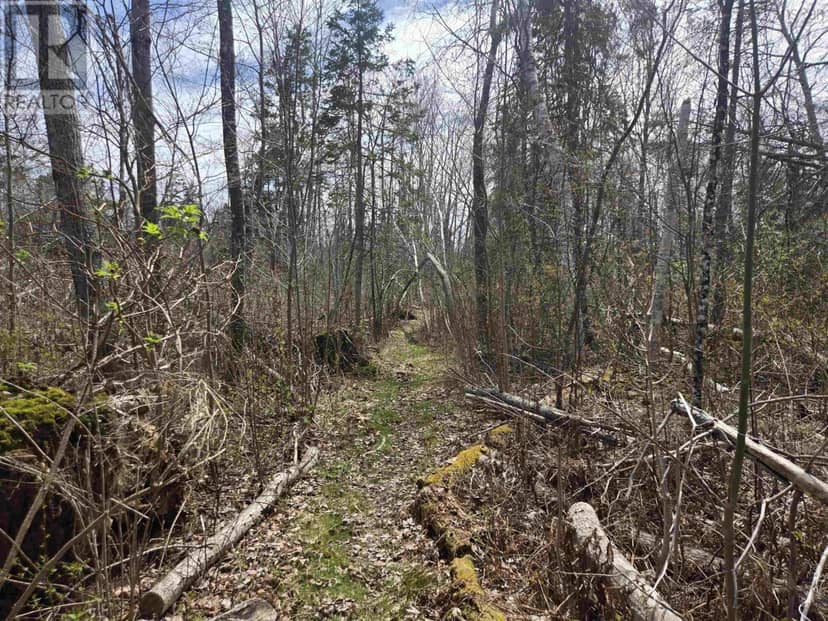 Lot B MALAGASH Road — photo 5 of 10