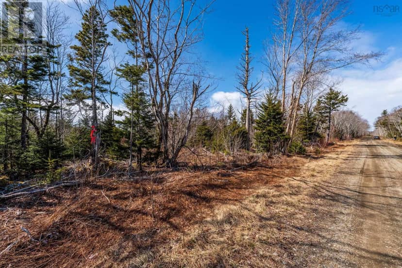Lot Davis Cove Road — photo 13 of 16